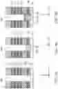 Fig. 05 - Memory device