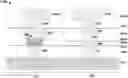 Fig. 01 - Interconnect landing method for RRAM technology