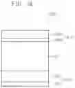 Fig. 16 - Flexible display device