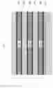 Fig. 02 - Inner spacer for nanosheet transistors