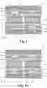 Fig. 03 - Control gate strap layout to improve a word line etch process window
