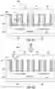 Fig. 08 - TRANSISTOR GATE STRUCTURE