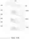 Fig. 27 - Multi-gate device