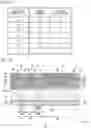 Fig. 09 - SOLAR CELL AND METHOD OF MANUFACTURING SOLAR CELL