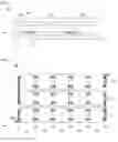 Fig. 02 - SOLAR CELL MODULE AND MANUFACTURING METHOD THEREOF