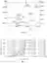 Fig. 07 - LED light bulb with spectral distribution of natural light