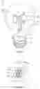 Fig. 09 - LED light bulb with spectral distribution of natural light