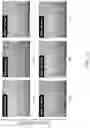 Fig. 11 - Piezoelectric transducers based on vertically aligned PZT and graphene nanoplatelets