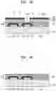 Fig. 08 - Organic light-emitting display apparatus and method of manufacturing the same