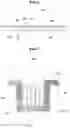 Fig. 06 - Protection film for window of display device