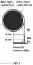 Fig. 03 - Tangent gradient concentration material for battery, digital gradient concentration material for battery