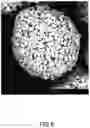 Fig. 07 - Tangent gradient concentration material for battery, digital gradient concentration material for battery