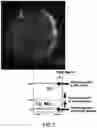 Fig. 08 - Tangent gradient concentration material for battery, digital gradient concentration material for battery