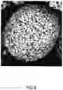 Fig. 09 - Tangent gradient concentration material for battery, digital gradient concentration material for battery