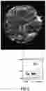 Fig. 10 - Tangent gradient concentration material for battery, digital gradient concentration material for battery