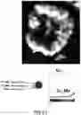 Fig. 12 - Tangent gradient concentration material for battery, digital gradient concentration material for battery
