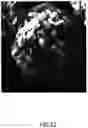 Fig. 13 - Tangent gradient concentration material for battery, digital gradient concentration material for battery