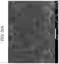 Fig. 26 - METHOD FOR PREPARING CATHODE ACTIVE MATERIAL FOR SECONDARY BATTERY AND APPARATUS FOR PREPARING CATHODE ACTIVE MATERIAL FOR SECONDARY BATTERY