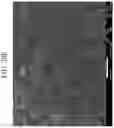 Fig. 30 - METHOD FOR PREPARING CATHODE ACTIVE MATERIAL FOR SECONDARY BATTERY AND APPARATUS FOR PREPARING CATHODE ACTIVE MATERIAL FOR SECONDARY BATTERY