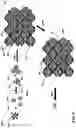 Fig. 08 - MULTI-LAYERED GRAPHENE MATERIAL HAVING A PLURALITY OF YOLK/SHELL STRUCTURES