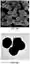 Fig. 09 - MULTI-LAYERED GRAPHENE MATERIAL HAVING A PLURALITY OF YOLK/SHELL STRUCTURES