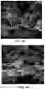 Fig. 14 - MULTI-LAYERED GRAPHENE MATERIAL HAVING A PLURALITY OF YOLK/SHELL STRUCTURES