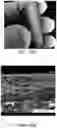 Fig. 18 - MULTI-LAYERED GRAPHENE MATERIAL HAVING A PLURALITY OF YOLK/SHELL STRUCTURES