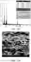 Fig. 19 - MULTI-LAYERED GRAPHENE MATERIAL HAVING A PLURALITY OF YOLK/SHELL STRUCTURES