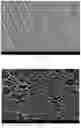 Fig. 02 - Anode for secondary battery, preparation method thereof and secondary battery