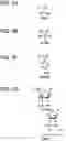 Fig. 04 - FUEL CELL ELECTROLYTE AND METHOD FOR MANUFACTURING SAME