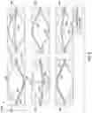 Fig. 09 - Chemical hydride ambulatory power source