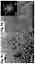 Fig. 07 - Lithium all-solid-state battery