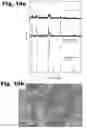 Fig. 16 - Lithium all-solid-state battery