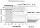Fig. 04 - Active Vivaldi antenna