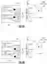 Fig. 05 - Frequency and polarization reconfigurable antenna systems
