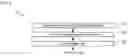 Fig. 07 - Monolithic series-connected edge-emitting-laser array and method of fabrication
