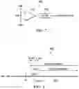 Fig. 07 - Chip position sensing for battery protectors
