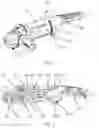 Fig. 02 - Air pre-cleaning assembly and electric tool having same