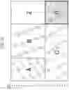 Fig. 22 - Transmission method and reception device