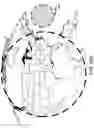Fig. 48 - Satellite for end to end beamforming