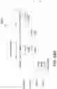 Fig. 87 - Satellite for end to end beamforming