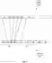 Fig. 06 - Automatic repeat request network transport system for turbulent free-space optical communications links