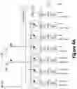 Fig. 06 - PAM4 transceivers for high-speed communication