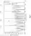 Fig. 05 - Wavelength division multiplexing device and method