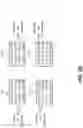 Fig. 23 - Composite data transport and storage via wavefront multiplexing