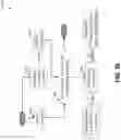 Fig. 37 - Composite data transport and storage via wavefront multiplexing