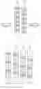 Fig. 05 - Methods and apparatus for communication of a DCI