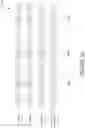 Fig. 06 - Managing integrity of framed payloads using redundant signals