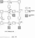 Fig. 20 - LDPC interleaver design for improved error floor performance