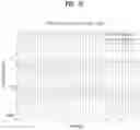 Fig. 32 - Method and apparatus for transmitting and receiving downlink channel
